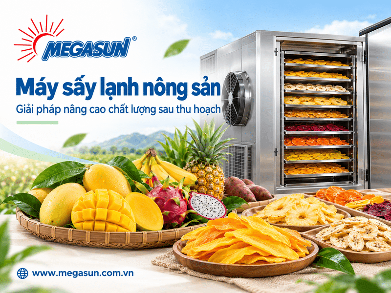 Máy sấy lạnh nông sản – Giải pháp nâng cao chất lượng sau thu hoạch